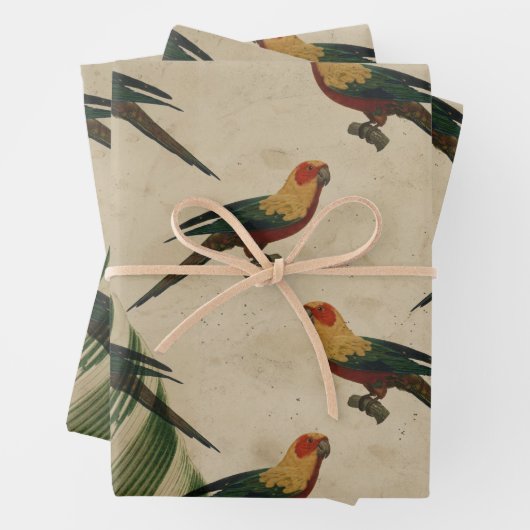  gele, groene en rode vogels inpakpapier vel (In situ)