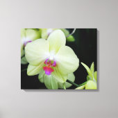 Gele groene orchidee canvas afdruk (Voorkant)