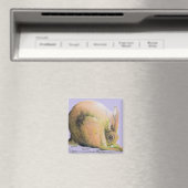 gele haas magneet (Insitu (Vaatwasser))