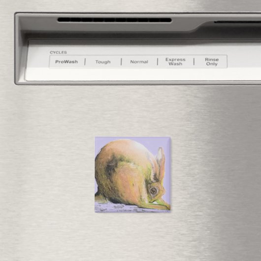 gele haas magneet (Insitu (Vaatwasser))