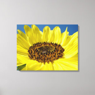 Gele heldere kleurrijke zonnebloem kunstprinten canvas afdruk