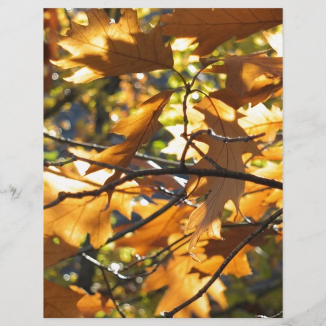 Gele Herfst (Voorkant)