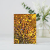 Gele Herfst Foliage Briefkaart (Staand voorkant)