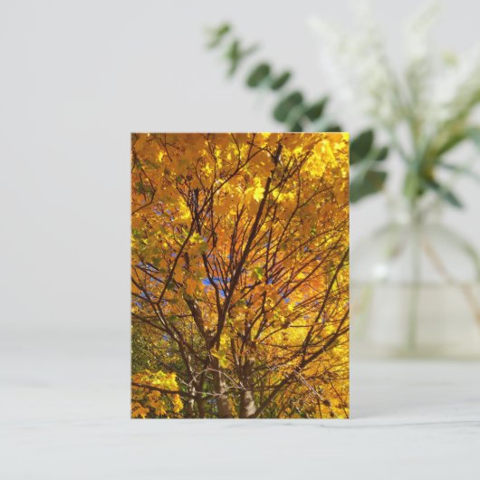 Gele Herfst Foliage Briefkaart (Staand voorkant)
