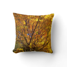 Gele Herfst Foliage