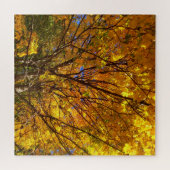 Gele Herfst Foliage Legpuzzel (Horizontaal)