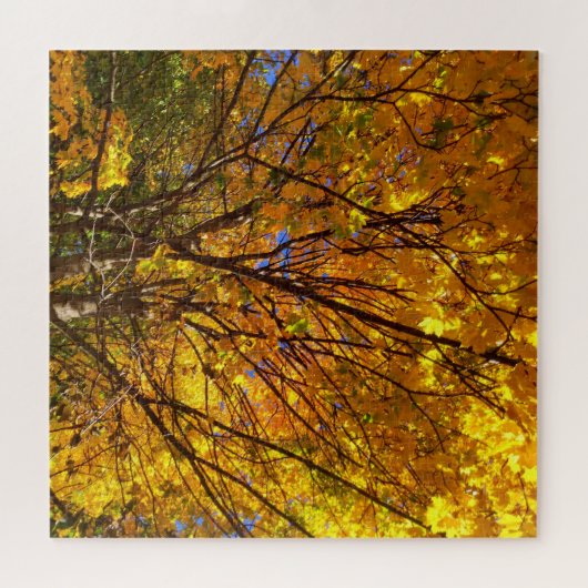 Gele Herfst Foliage Legpuzzel (Horizontaal)
