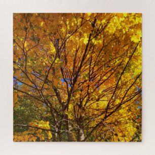 Gele Herfst Foliage Legpuzzel