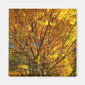 Gele Herfst Foliage Magneet (Voorkant)