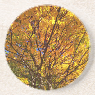 Gele Herfst Foliage Zandsteen Onderzetter
