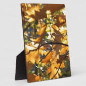 Gele Herfst Fotoplaat (Zijkant)