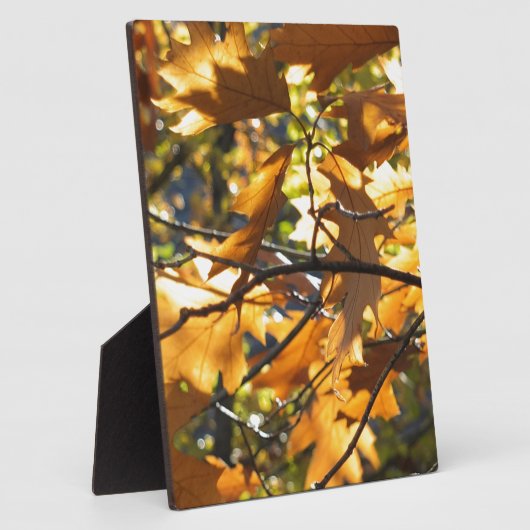 Gele Herfst Fotoplaat (Zijkant)