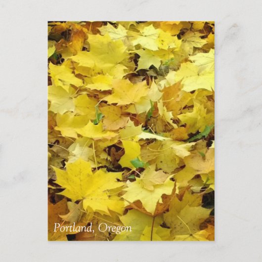 Gele herfstbladeren briefkaart (Voorkant)