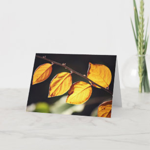 Gele herfstbladeren Note Kaart