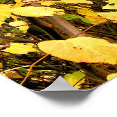 GELE HERFSTBLADEREN POSTER (Hoek)