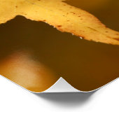 gele herfstbladeren Print Perfect Poster (Hoek)
