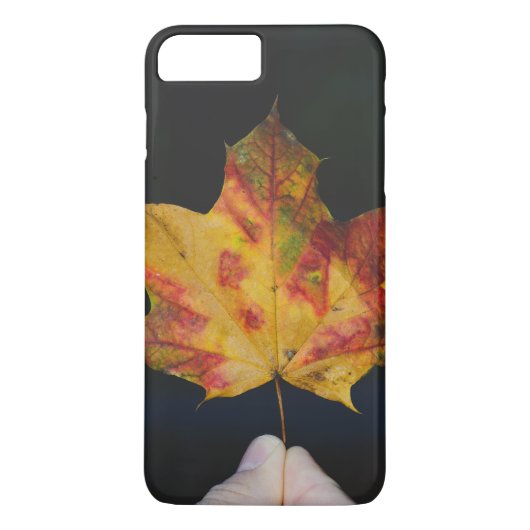 Gele herfstbladmacro Case-Mate iPhone case (Achterkant)