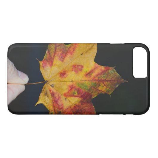 Gele herfstbladmacro Case-Mate iPhone case (Achterkant (Horizontaal))