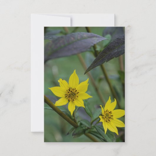 Gele herfstbloem notitiekaartje (Voorkant)