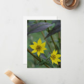 Gele herfstbloem notitiekaartje (Voorkant / Achterkant in situ)