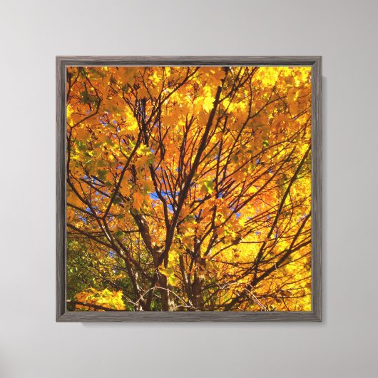 Gele herfstloof canvas afdruk (Voorkant)