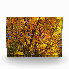 Gele herfstloof fotoblokken