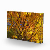 Gele herfstloof fotoblokken (Rechts)