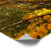 Gele herfstloof poster (Hoek)