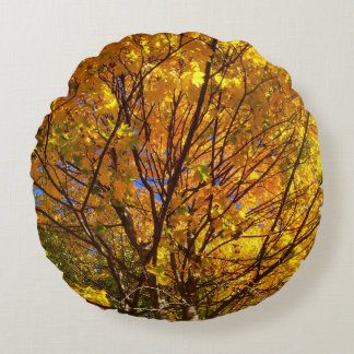 Gele herfstloof rond kussen