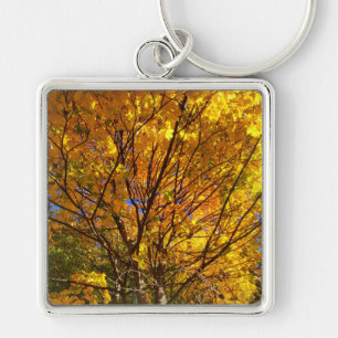 Gele herfstloof sleutelhanger