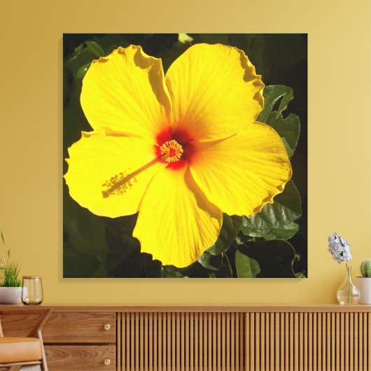 Gele Hibiscus Bloem Canvas Afdruk (Insitu (Woonkamer))