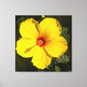 Gele Hibiscus Bloem Canvas Afdruk (Voorkant)