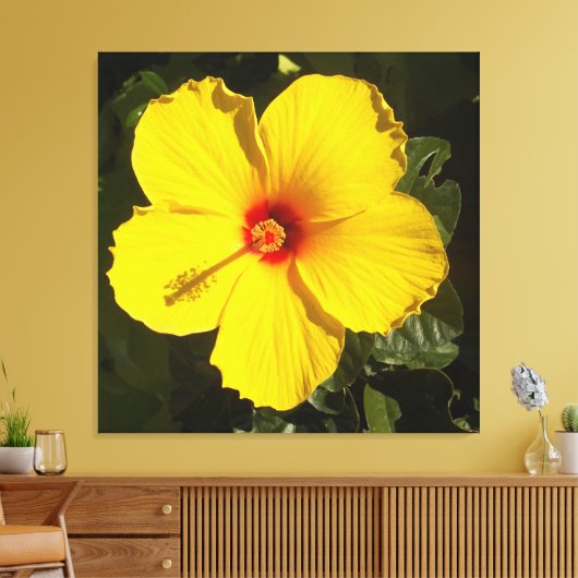Gele Hibiscus Bloem Canvas Afdruk (Insitu (Woonkamer))