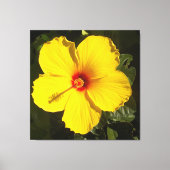 Gele Hibiscus Bloem Canvas Afdruk (Voorkant)