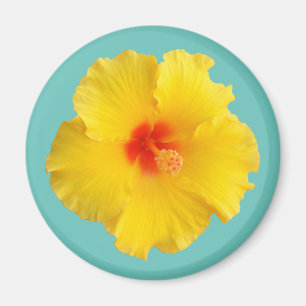 Gele Hibiscus Bloem Foto Magneet