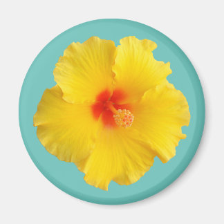 Gele Hibiscus Bloem Foto Magneet