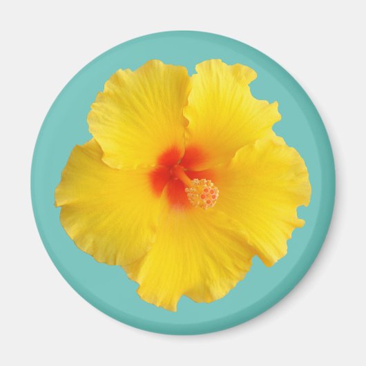 Gele Hibiscus Bloem Foto Magneet (Voorkant)