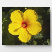 Gele Hibiscus Bloem Fotoplaat (Voorkant)