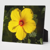 Gele Hibiscus Bloem Fotoplaat (Zijkant)