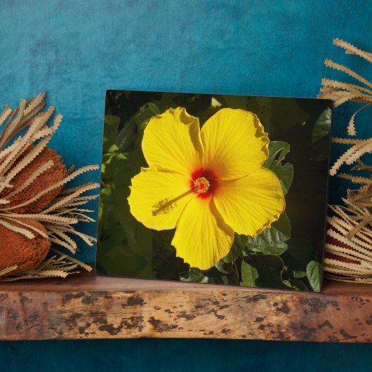 Gele Hibiscus Bloem Fotoplaat (Zijkant)