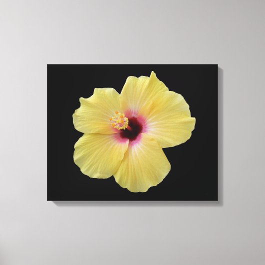 Gele Hibiscus bloem gewikkeld canvas (Voorkant)
