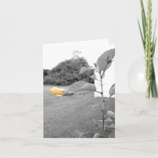 Gele Hibiscus bloem Note Kaarten (Voorkant)