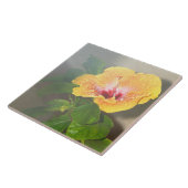 Gele hibiscus bloem Tegel Tegeltje (Zijkant)