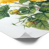 Gele Hibiscus Bloemenkunst Print Poster (Hoek)