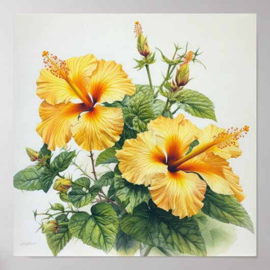 Gele Hibiscus Bloemenkunst Print Poster (Voorkant)