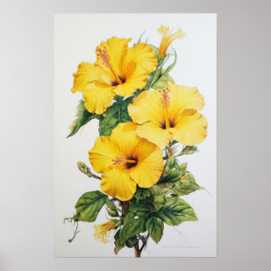 Gele Hibiscus Bloemenkunst Print Poster