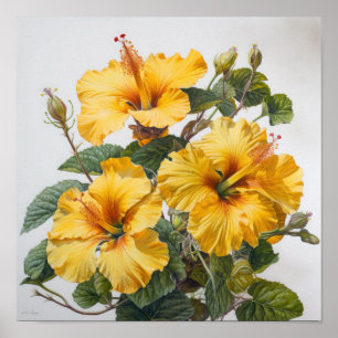 Gele Hibiscus Bloemenkunst Print Poster