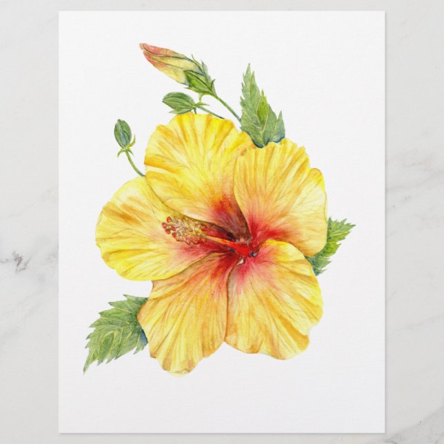 Gele Hibiscus Botanische Kunst (Voorkant)