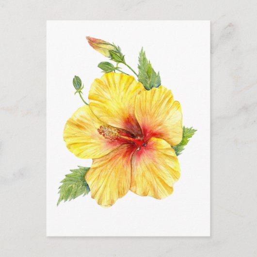 Gele Hibiscus Botanische Kunst Briefkaart (Voorkant)