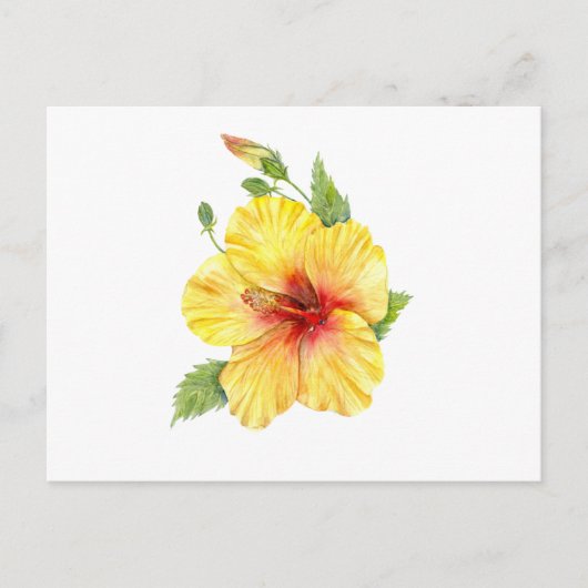 Gele Hibiscus Botanische Kunst Briefkaart (Voorkant)